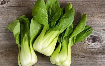 [260110003] Юуцай Cuiying 256