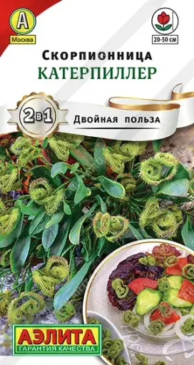 [3102019] Скорпионница картерпиллер