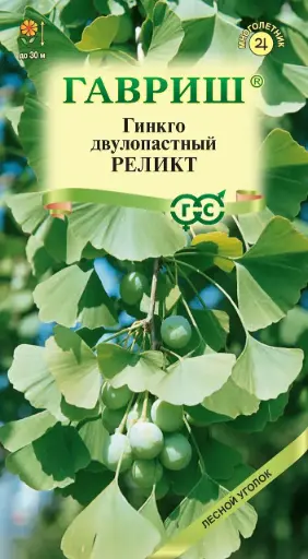 [1702014] Гинкго двулопастный Реликт