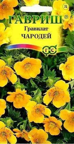 [1702017] Гравилат Чародей (алеппский) 0,1 г