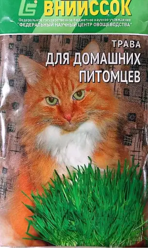 [14001] Трава для домашних питомцев