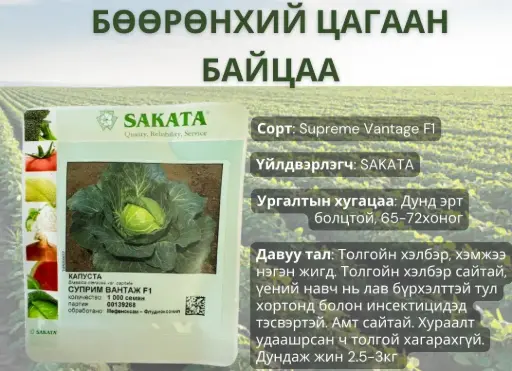 [260116025] Байцаа Суприм вантаж F1