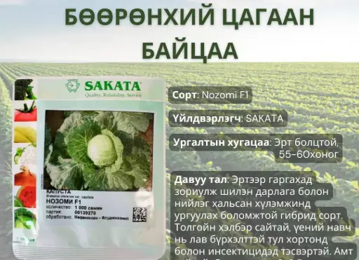 [260116026] Байцаа Нозоми F1