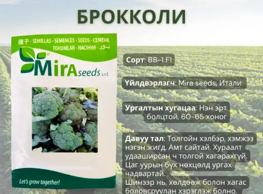 [260117004] Брокколи байцаа ВВ-1