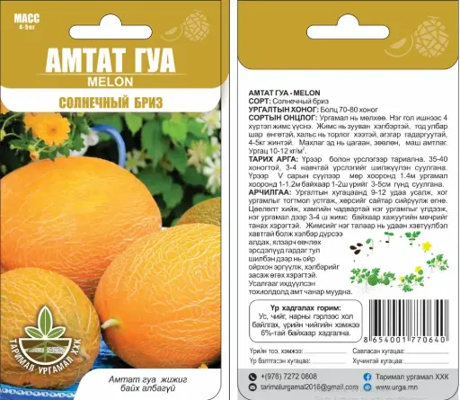 [260412003] Амтат гуа Солнечный бриз - Таримал Ургамал