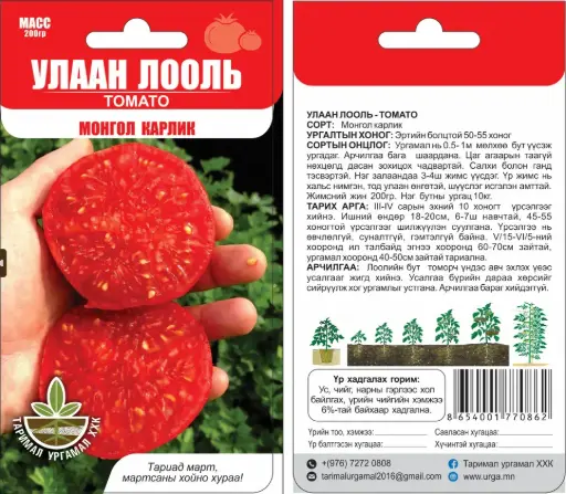 [260405008] Улаан лооль Монгол Карлик