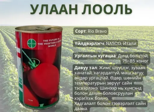 [260103009] Улаан лооль-Rio Bravo 100 гр лаазтай