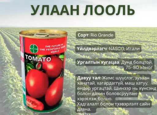 [260103010] Улаан лооль - Rio Grande  100 гр лаазтай