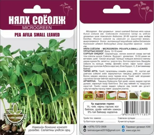 [260431006] Нялх соёолж Microgreen Pea afila small leaved - Таримал Ургамал