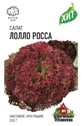 [260417007] Салат навч улаан Lettuce lollo rossa - Таримал Ургамал