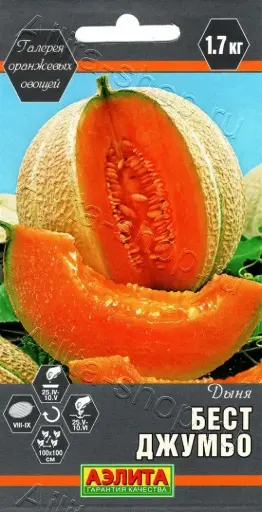 [260412016] Амтат гуа - Дыня Бест Джумбо