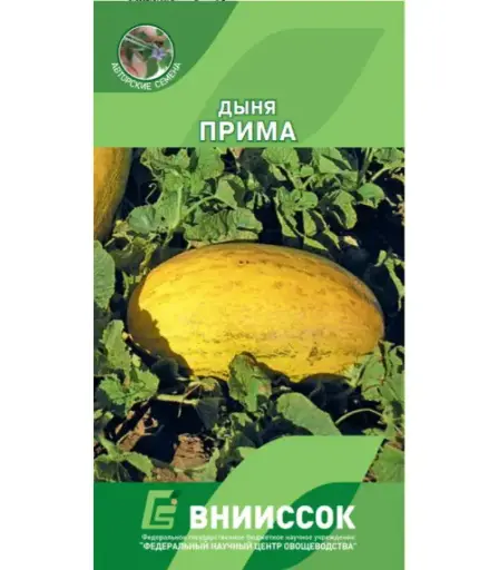 [260412018] Амтат гуа - Дыня Прима