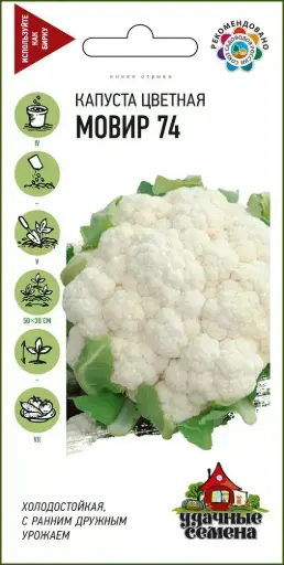 [26042501004] Цэцэгт байцай - Капуста цветная Мовир