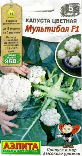 [26042501005] Цэцэгт байцай - Капуста цветная Мультибол F1