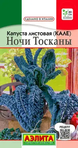 [26042504004] Кели байцай - Капуста листовая (кале) Ночи Тосканы