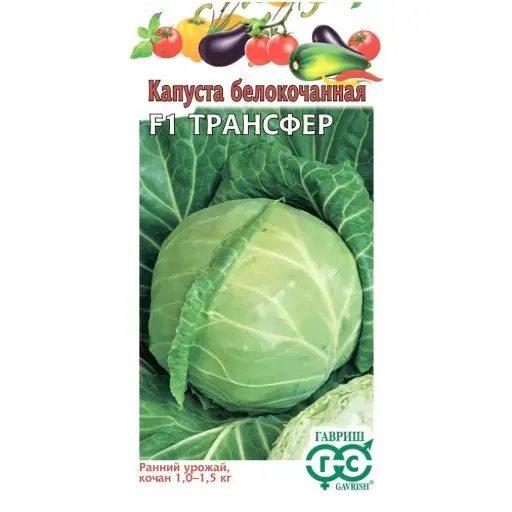 [26042506012] Байцай - КапустаТрансфер F1