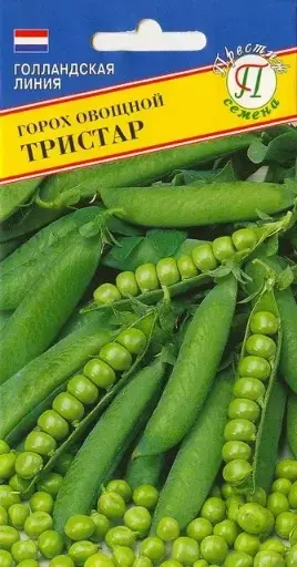 [260414009] Вандуй - Горох Тристар