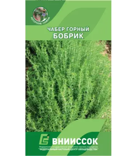 [260424011] Гоньд Укроп Кустовой Салют