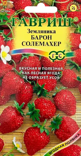 [260433009] Гүзээлзгэнэ - Земляника Барон солемахер