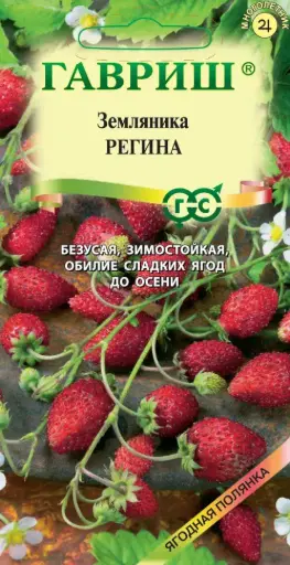 [260433010] Гүзээлзгэнэ Земляника Регина