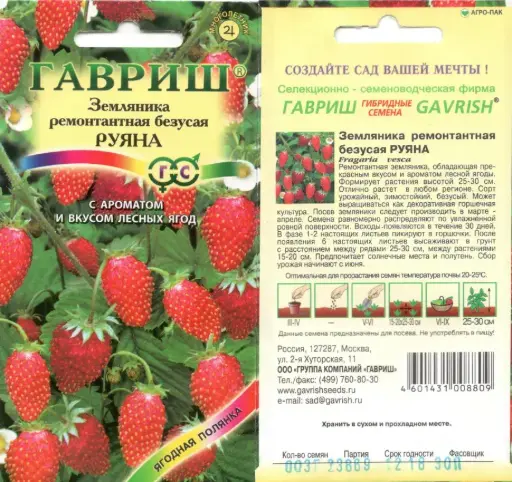 [260433015] Гүзээлзгэнэ Земляника ремонтантная безусая РУЯНА