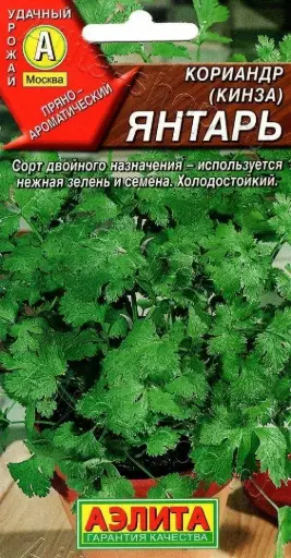 [260424013] Кориандр Янтарь 