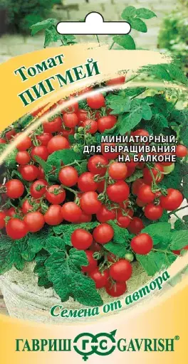 [260405013] Лооль Томат Пигмей