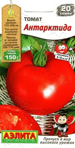 [260404094] Лооль Томат Антарктида
