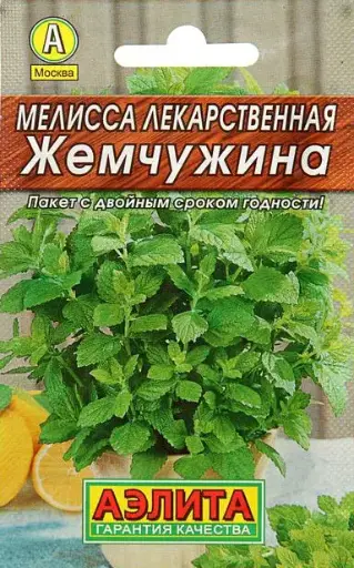 [260424019] Мелисса лекарственная Жемчужина