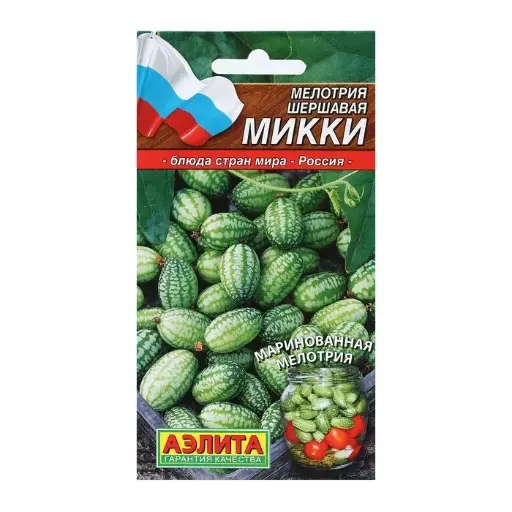 [260412019] Мелотрия (Мышиная дыня) Микки