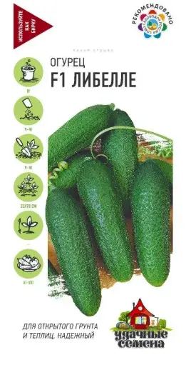 [260401017] Өргөст хэмх Огурец F1 Либелле - Удачные семена