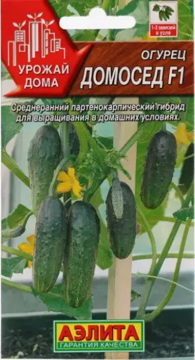 [260403001] Өргөст хэмх Огурец Домосед F1