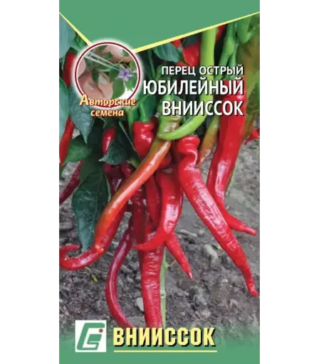[260408035] Халуун чинжүү - Перец Острый Юбилейный Внииссок
