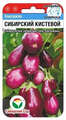 [260409026] Хаш Баклажан Сибирский кистевой