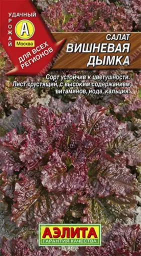 [260417020] Салат Вишневая дымка листовой