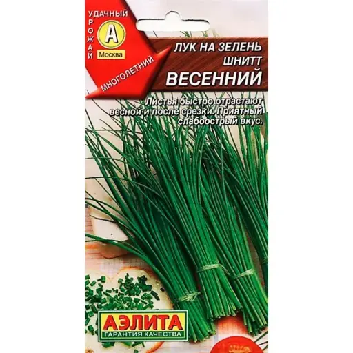 [26042902008] Сонгино - Лук шнитт Весенний