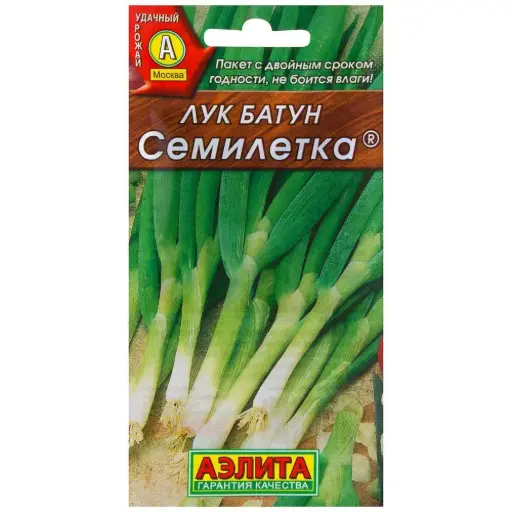 [26042902009] Сонгино - Лук батун Семилетка