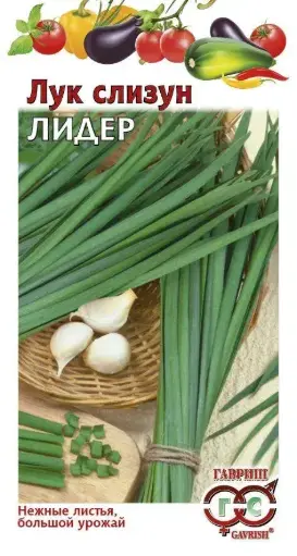 [26042902011] Сонгино Лук слизун лидер