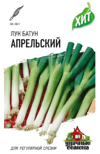 [26042902013] Сонгино - Лук батун Апрельский