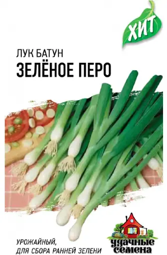 [26042902014] Сонгино - Лук батун Зеленое перо, на зелень