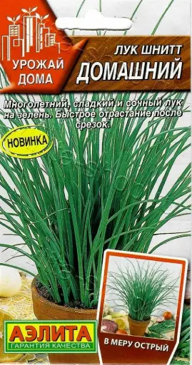 [26042902016] Сонгино - Лук шнитт Домашний