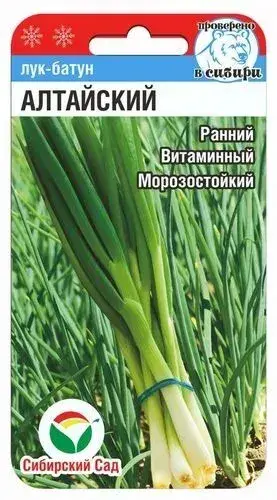 [26042902017] Сонгино - Лук Батун Алтайский
