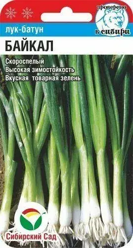 [26042902018] Сонгино - Лук Батун Байкал