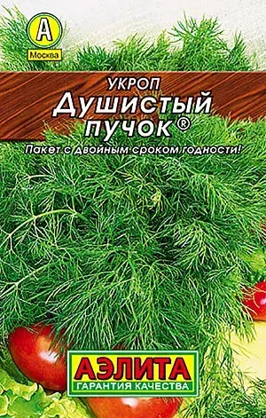 [260421003] Укроп Душистый пучок