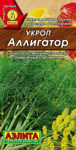[260421005] Укроп Аллигатор