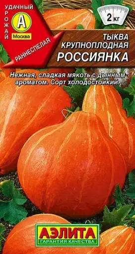 [260410009] Хулуу Тыква Россиянка