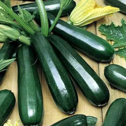 [260410014] Хулуу Кабачок чёрный красавец