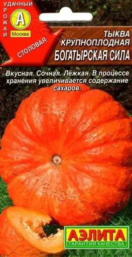 [260410046] Хулуу Тыква крупноплодная Богатырская сила