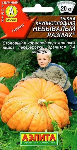 [260410050] Хулуу Тыква крупноплодная Небывалый размах