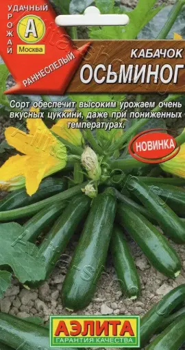 [260410055] Хулуу Кабачок цуккини Осьминог